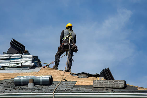 Professional Roof Inspection technician working in Amazonia, MO